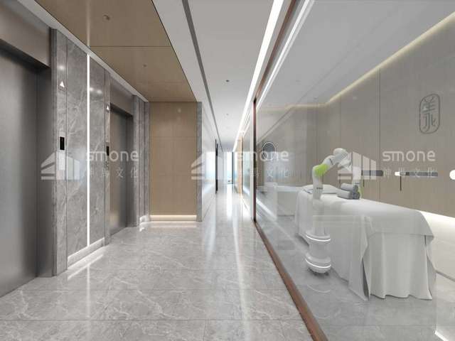 福建葡萄蜗牛种培育哪家好